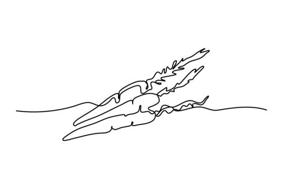 A Continuous Line Carrot for Modern Business Graphics