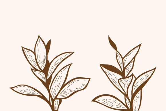 A Designer's Practical Review of the Leaf Plant Vintage Element