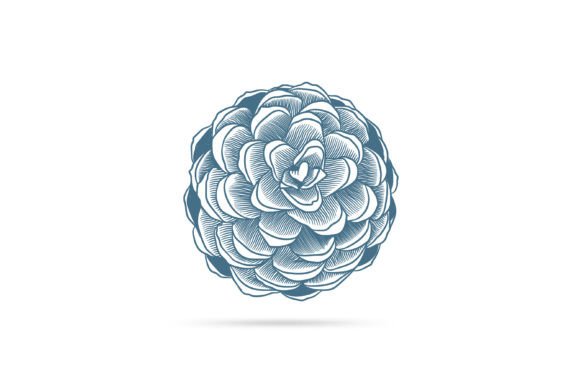 A Pine Cone Illustration for Branding and Marketing Graphics