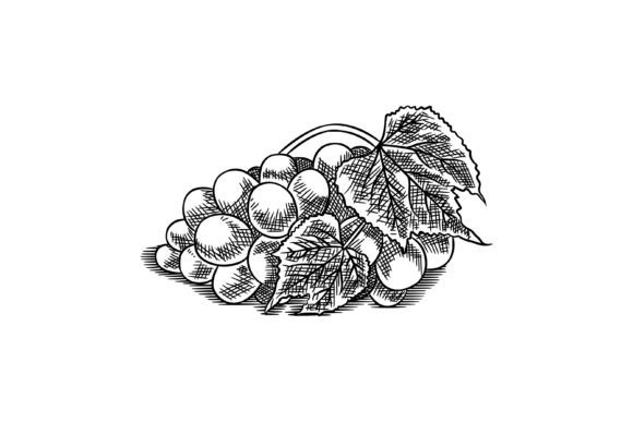 An Engraved Grapes Graphic for Product Collections
