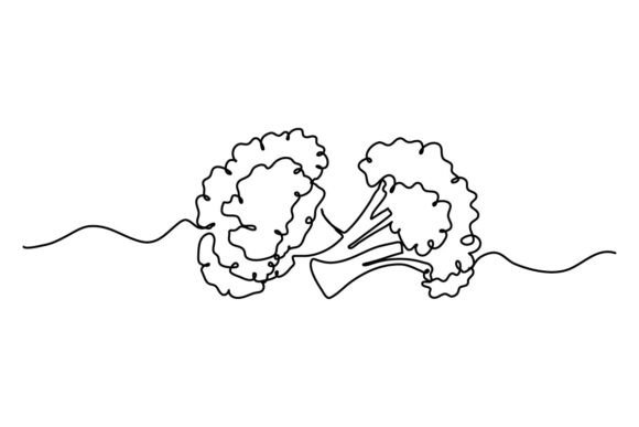 Broccoli One Continuous Line: Graphics & Illustrations Review