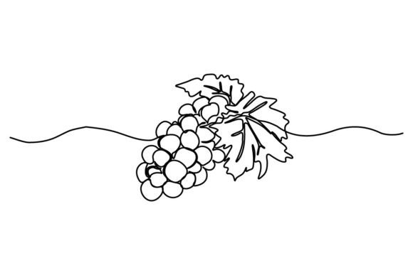 Grape One Continuous Line: Graphics & Illustrations Review