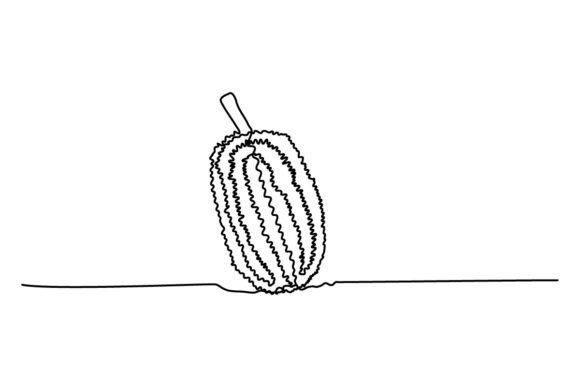 Jack Fruit Continuous Line Graphics: An Editorial Review