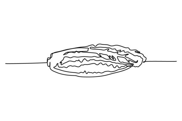 Kimchi One Continuous Line: A Designer's Embroidery Review