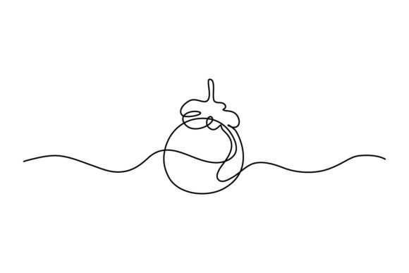 Mangosteen One Continuous Line for Brand Graphics & Illustrations