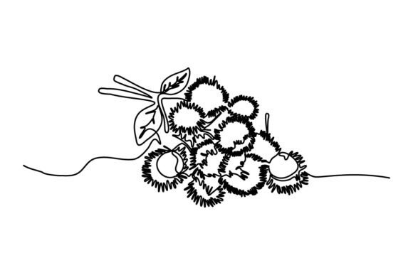 Rambutan One Continuous Line: Graphics & Illustrations
