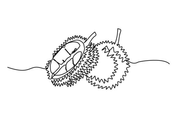 The Durian One Continuous Line Graphic as a Handmade Business Asset